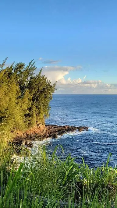 Hale Laule'A At Opihi Point - Oceanfront, Gated Estate Apartment Hakalau
