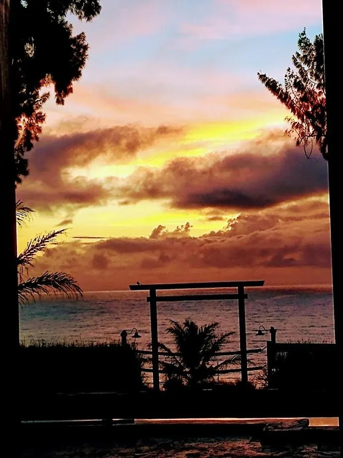 Hale Laule'A At Opihi Point - Oceanfront, Gated Estate Appartement Hakalau Verenigde Staten